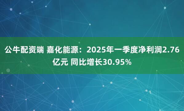 公牛配资端 嘉化能源：2025年一季度净利润2.76亿元 同比增长30.95%