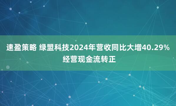 速盈策略 绿盟科技2024年营收同比大增40.29% 经营现金流转正